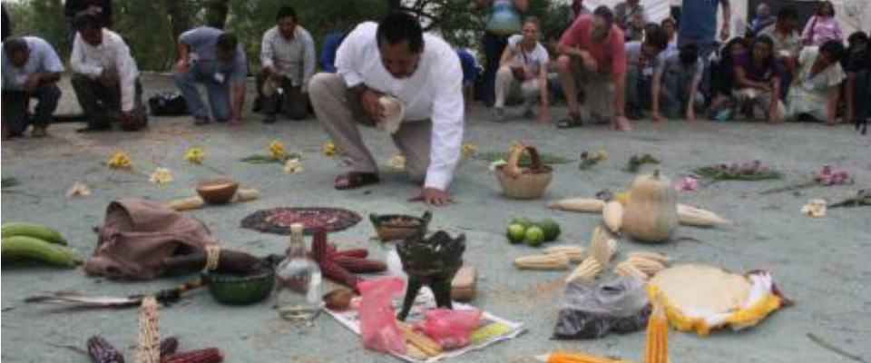 Catarina y la resistencia