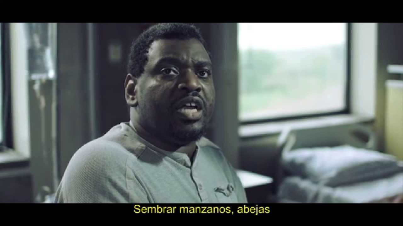 Una nueva canción