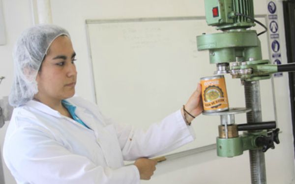 Consumo de productos ultraprocesados relacionado con aumento de mortalidad y adicción, revela compilación de estudios científicos