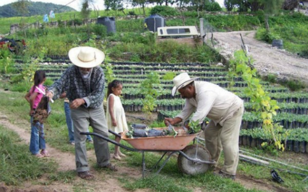 Firma para que los maestros mezcaleros no desparezcan
