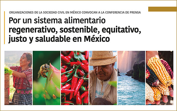 Nos sumamos al llamado al gobierno mexicano a ser voz de la humanidad y de la esperanza en la Pre-Cumbre de Sistemas Alimentarios ante la captura de las corporaciones