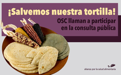 Organizaciones llamamos a defender nuestra tortilla tradicional de la industria de alimentos quienes la convierten en un producto ultraprocesado