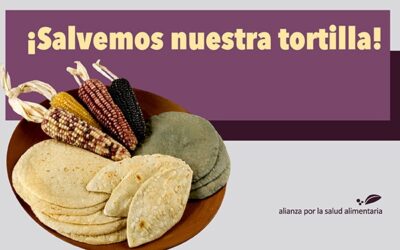 Más de 21 mil personas participaron en la consulta pública para defender la tortilla tradicional