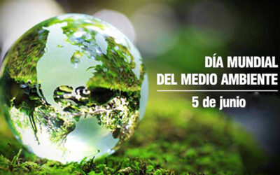 Restringir la producción de productos ultraprocesados para frenar sus daños al medio ambiente y la salud