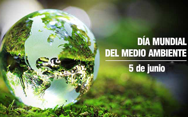 Restringir la producción de productos ultraprocesados para frenar sus daños al medio ambiente y la salud