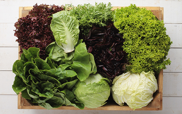 El poder de… La lechuga