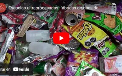 Escuelas ultraprocesadas: fábricas de obesidad, enfermedades y deterioro ambiental
