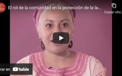 El rol de la comunidad en la protección de la lactancia materna