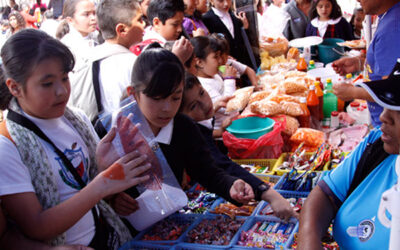 Celebramos votación a favor de la minuta de reforma a la Ley General de Educación para promover escuelas saludables en la Comisión de Educación de Cámara de Senadores