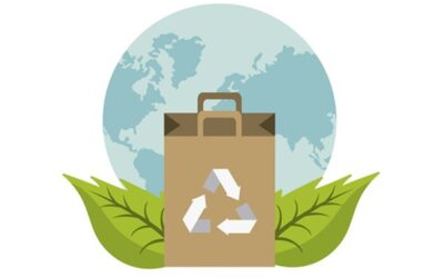 Este Día Mundial de los Derechos del Consumidor declaramos que las y los consumidores podemos garantizar la transición hacia las energías limpias