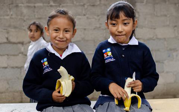 La LXV Legislatura da un paso histórico en la promoción de la salud de niñas, niños y adolescentes en los entornos escolares