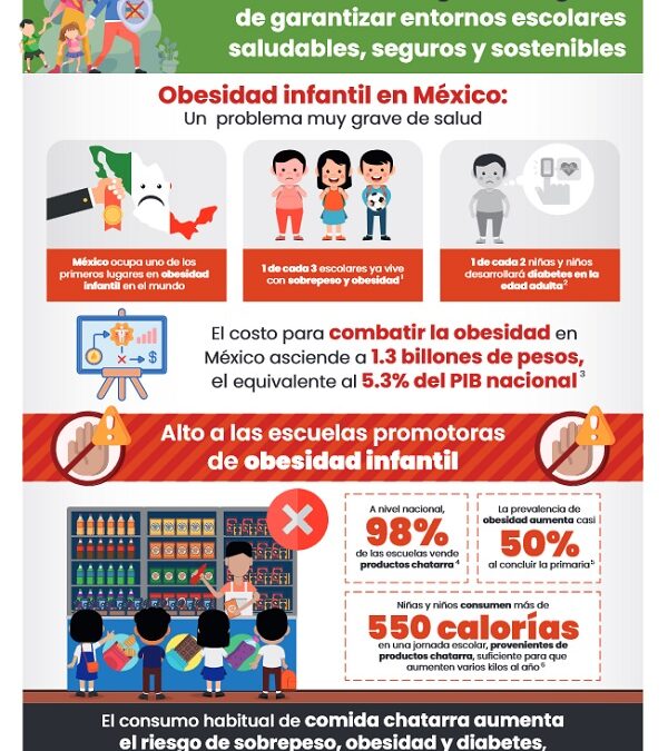 El Estado tiene la obligación urgente de garantizar entornos escolares saludables
