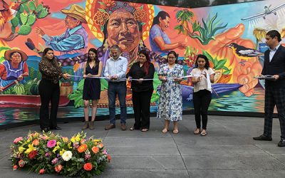 Inauguran mural en el Senado de la República para celebrar la lucha por sistemas alimentarios saludables, justos y sostenibles, y denunciar la captura corporativa de los sistemas alimentarios